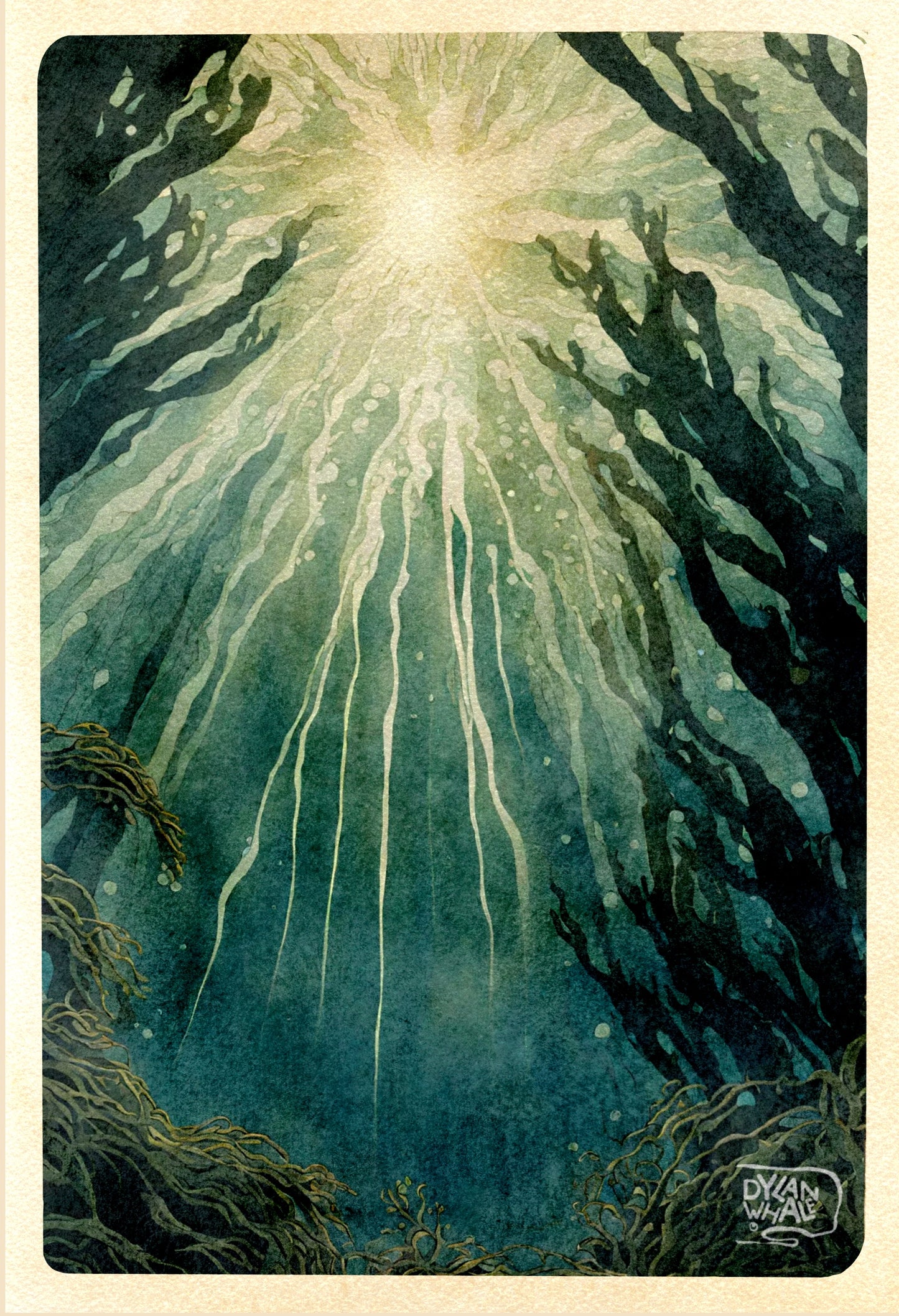 Kelp Conciousness