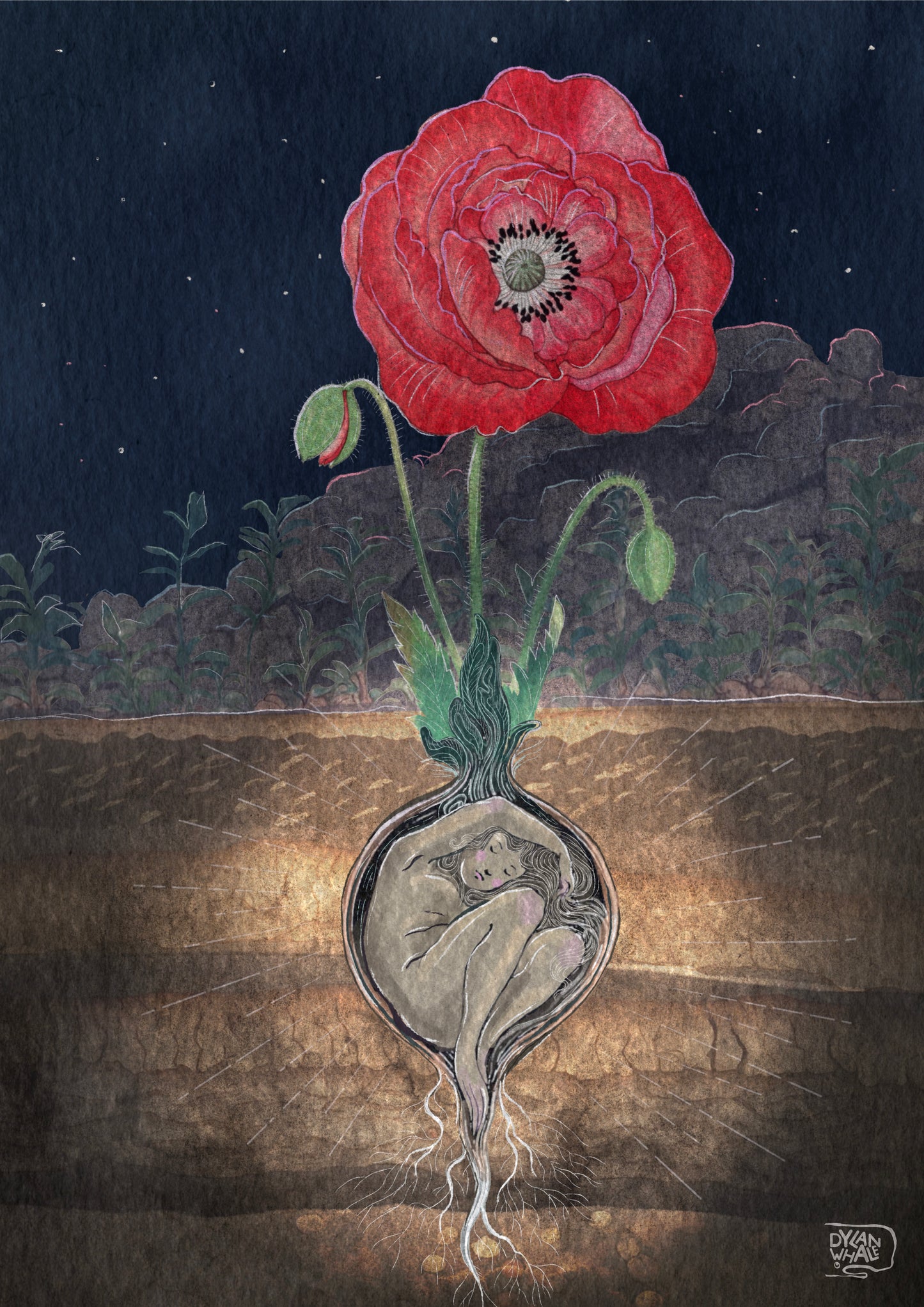 They didn't know we were seeds